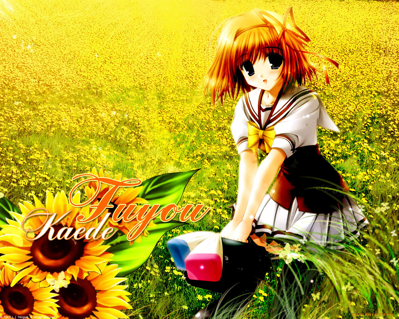 , shuffle
